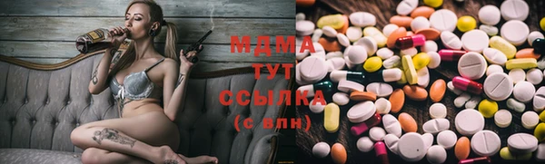 прущие грибы Гусев