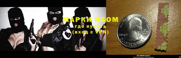 прущие грибы Гусев