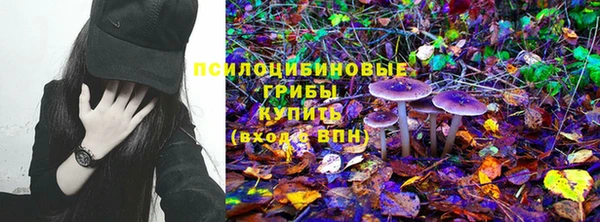 бутират Гусиноозёрск