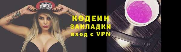прущие грибы Гусев
