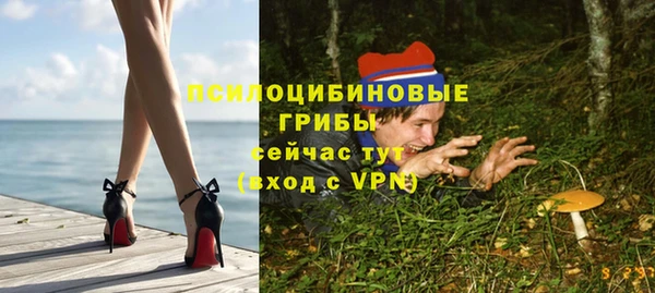 не бодяженный Гусь-Хрустальный