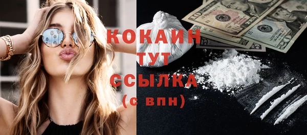 прущие грибы Гусев