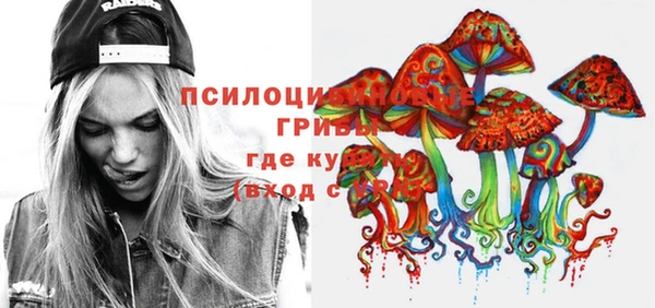 прущие грибы Гусев