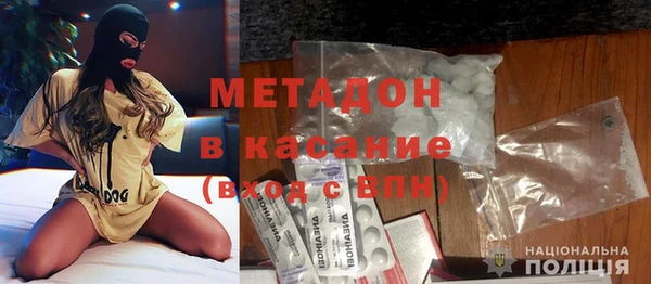 прущие грибы Гусев