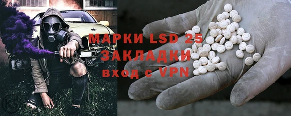 прущие грибы Гусев