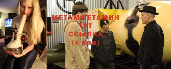 прущие грибы Гусев