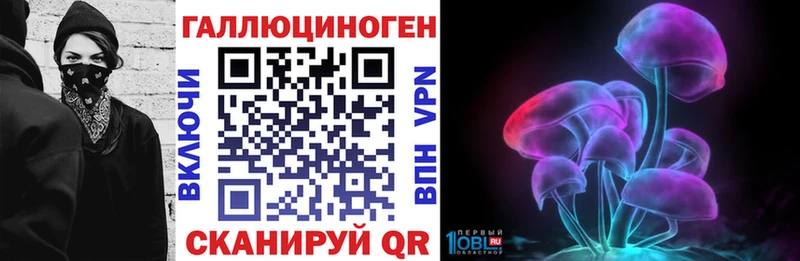 Галлюциногенные грибы Psilocybe  Купить закладки  Харабали 